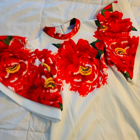 Dress - Picture 1 of 4